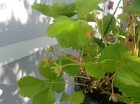 20150622_094521.webp