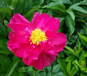 20150625_104828-1.webp