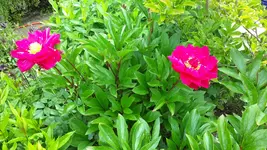 20150625_105039.jpg
