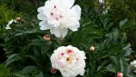 20150625_105054.jpg