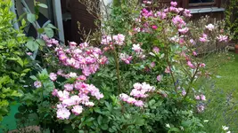 20150625_104943.webp