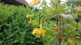 20150625_111005.webp
