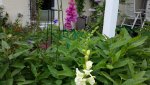 20150625_111115.jpg