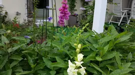 20150625_111115.webp