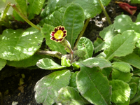 P1440754.webp
