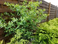 DSCF9003.webp