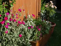 125.webp