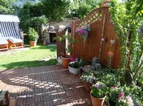 123.webp