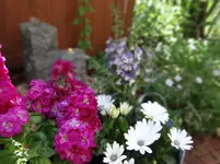 124.webp