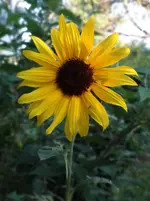 126.jpg