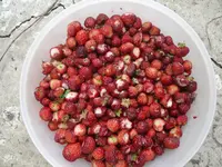 P1090570.webp