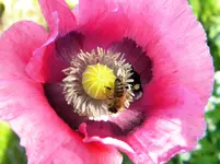 DSCN9239.jpg