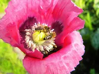 DSCN9240.jpg