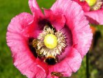 DSCN9254.jpg