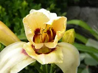 DSCN9266.webp