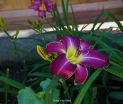 IMG_0068.webp