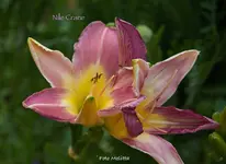 IMG_0143.jpg