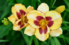400.webp
