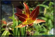 comp_DSC03849.webp