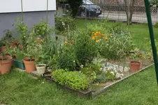 geordnetes_chaos.webp