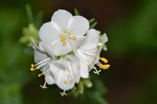 DSC_3286.webp