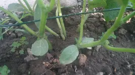 20150625_182031.webp