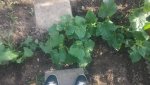 20150625_182035.jpg