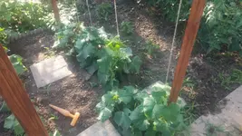 20150625_183038.webp