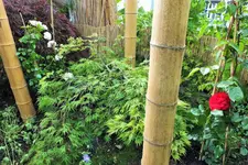 DSCF1644 (2).webp
