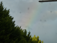 P1440672.webp