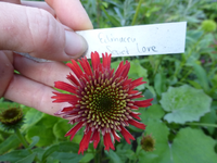 P1440837.webp