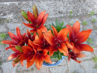 P1440840.webp