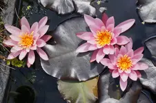 _DSC8499.webp