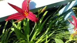 20150625_103654.jpg