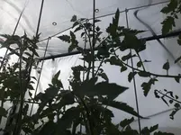 DSCF1294.webp
