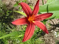 001.webp