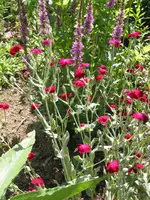 008.webp