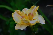 timeforeternety1.webp