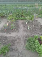 20150617_185243.webp