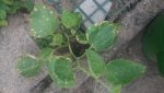20150626_175354.jpg
