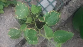 20150626_175354.webp