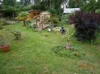 P6260473.webp