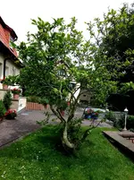 2015-06-26 15.11.35.webp
