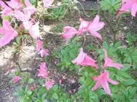 Bilda006.webp
