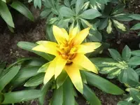 Bilda083.webp