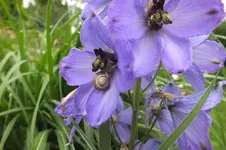 DSCF1670.webp