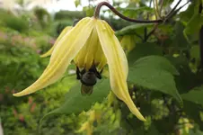 DSCF1678.webp