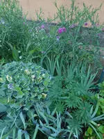 DSCN2692.webp