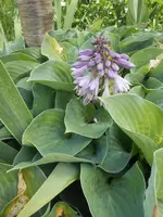 DSCN2717.webp