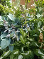 DSCN2718.webp